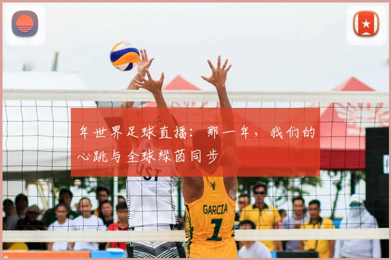 年世界足球直播:那一年,我们的心跳与全球绿茵同步